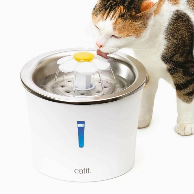 Catit Blumentrinkbrunnen Mit Edelstahleinsatz Catit Blumentrinkbrunnen Mit Edelstahleinsatz