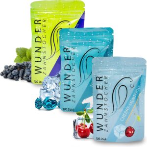 Wunder Zahnstocher Fresh Breath Bag (3x100 Stück)