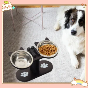 Katzennäpfe, erhöhter Schüssel, Futternäpfe für Lebensmittel und Wasser, Kätzchen, für den Innenbereich, Katzennäpfe mit Ständer, Katzen-Esstisch, Schüssel