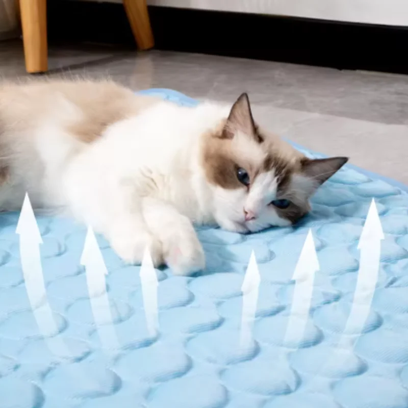 Hundekühlmatte Sommer Haustier-Kühlbett Extra Groß Für Kleine Und Große Hunde Haustierzubehör Katze Langlebige Decke Sofa Katzen-Eisdecke Hundekühlmatte Sommer Haustier-Kühlbett Extra Groß Für Kleine Und Große Hunde Haustierzubehör Katze Langlebige Decke Sofa Katzen-Eisdecke - Image 4