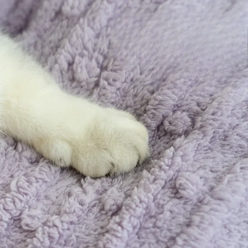 Neues Winter-Plüsch-Haustierbett, Halbgeschlossenes Kaktus-Haustierkissen, Hundebett Geeignet Für Kleine Und Mittelgroße Katzen/Hunde, Haustierzubehör Neues Winter-Plüsch-Haustierbett, Halbgeschlossenes Kaktus-Haustierkissen, Hundebett Geeignet Für Kleine Und Mittelgroße Katzen/Hunde, Haustierzubehör - Image 5