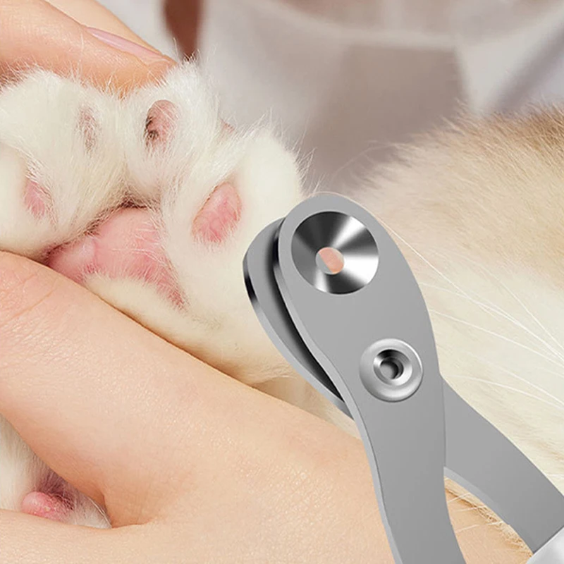 Katzen Nagelschere Mit Rundem Loch Für Hunde Und Haustierpflege Katzen Nagelschere Mit Rundem Loch Für Hunde Und Haustierpflege - Image 2