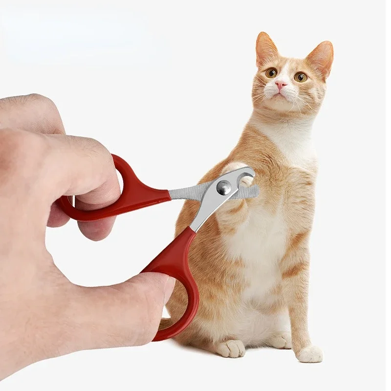 Professionelle Katzen Nagelschere Für Hunde Und Kleine Haustiere Professionelle Katzen Nagelschere Für Hunde Und Kleine Haustiere - Image 2