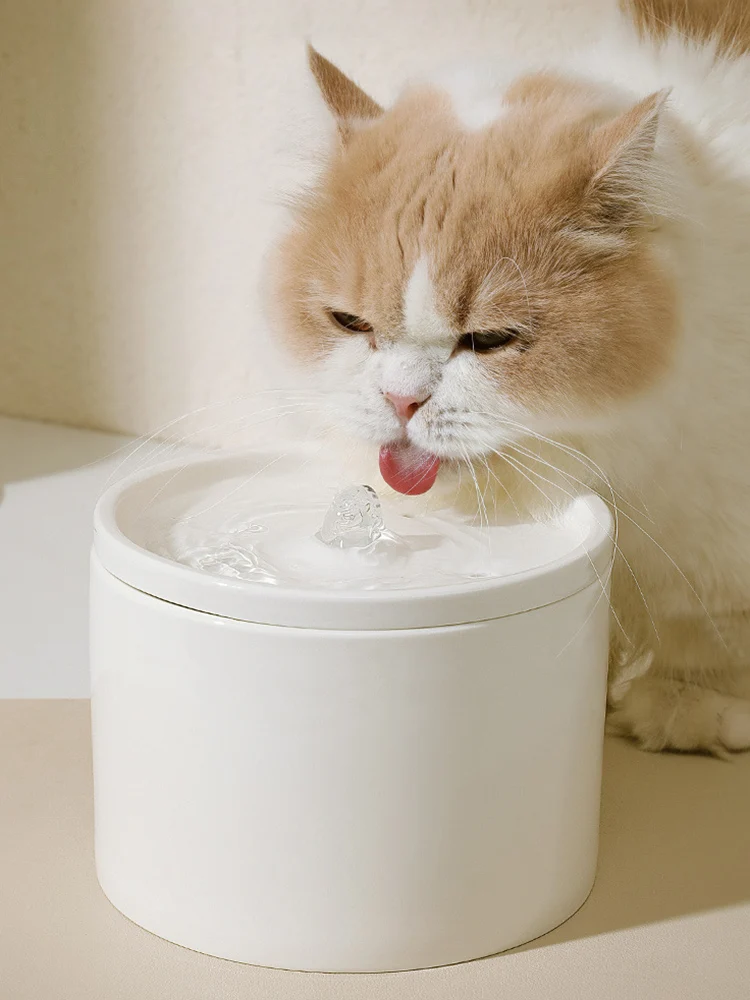 Water Dispenser Cat Automatic Water Dispenser, Pet Ceramic Bowl, Dog Bowl Water Dispenser, Circulation And Flow Water Dispenser Cat Automatic Water Dispenser, Pet Ceramic Bowl, Dog Bowl Water Dispenser, Circulation And Flow - Image 10