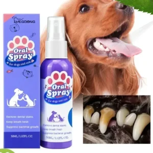 Reinigungsspray für Haustiere, Mundpflege, Zahnflecken entfernen, hält frischen Atem bei Katzen und Hunden, Aufhellung, Mundgeruch entfernen