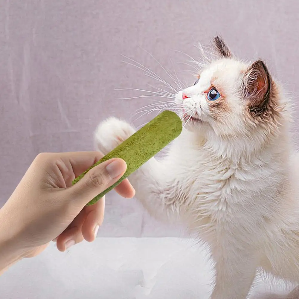 Cat Grass Sticks Grass Chewing Stick Freeze Dried Snacks Mouth Health Teething Digestive Aid Natural Teeth Cleaner Fattening Pet Cat Grass Sticks Grass Chewing Stick Freeze Dried Snacks Mouth Health Teething Digestive Aid Natural Teeth Cleaner Fattening Pet - Image 21
