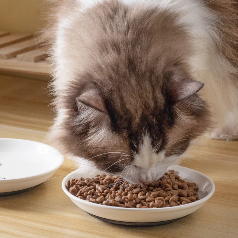 【F】Ceramic Cat Plates With Silicone Anti Slip Pad Pet Cat Snack Bowl Cute Kitten Food Bowl Pet Kitten Water Bowl Pet Supplies 【F】Ceramic Cat Plates With Silicone Anti Slip Pad Pet Cat Snack Bowl Cute Kitten Food Bowl Pet Kitten Water Bowl Pet Supplies - Image 14