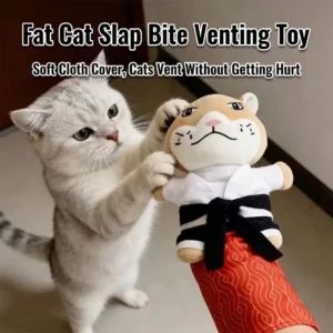 Katzenhandschuhe als Spielzeug mit Robusten Schutzpolstern, Geeignet zum Spielen mit Haustieren und für Training und Bewegung