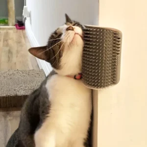 Katzen-Selbstpflegegerät mit Massage-Kammbürste - Perfekt für Kätzchen- und Welpenpflege und Entspannung Wandmontiert