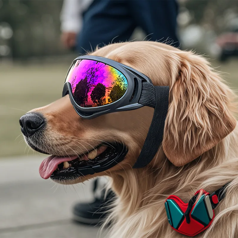 Haustier Verstellbare Hundebrille Sonnenbrille Anti-Uv-Sonnenbrille Augenschutz Schwarz Weit Verbreitete Hunde-Sonnenbrille Haustier-Hundebedarf Haustier Verstellbare Hundebrille Sonnenbrille Anti-Uv-Sonnenbrille Augenschutz Schwarz Weit Verbreitete Hunde-Sonnenbrille Haustier-Hundebedarf - Image 5