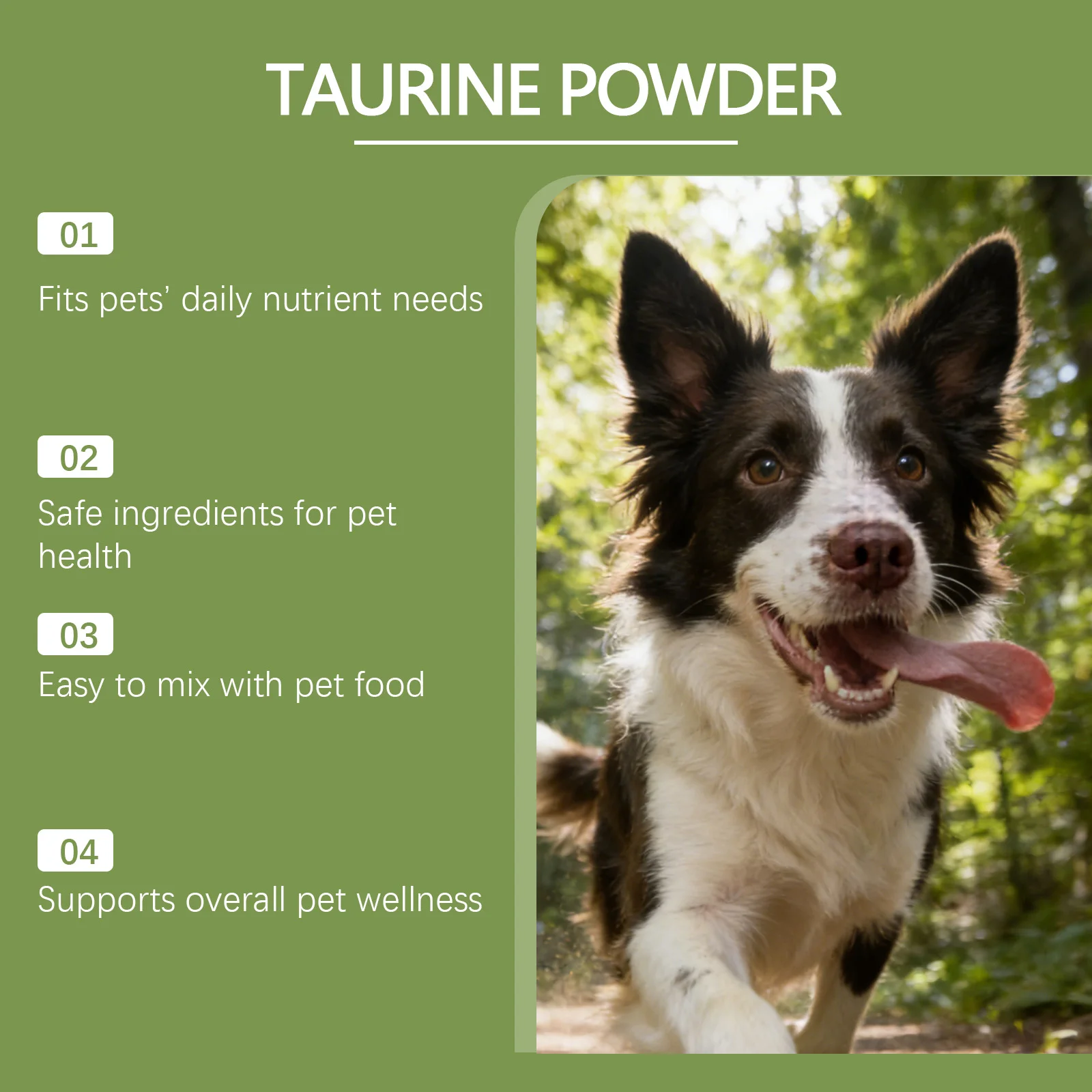 Hunde-Taurin-Pulver Leicht Mischbar Unterstützt Kognitive Gesundheit Verbessert Haarstruktur Fördert Herzgesundheit Nahrungsergänzungsmittel Für Haustiere Hunde-Taurin-Pulver Leicht Mischbar Unterstützt Kognitive Gesundheit Verbessert Haarstruktur Fördert Herzgesundheit Nahrungsergänzungsmittel Für Haustiere - Image 5
