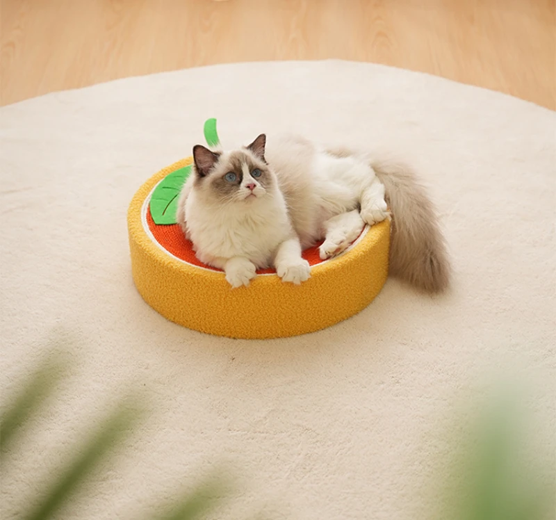Cat Scratcher 2 In 1 Cat Anti Scratch Bed Cute Shape Cat Scratching Bed Round Cat Scratch Protection Paw Toy Gatos Accesorios Cat Scratcher 2 In 1 Cat Anti Scratch Bed Cute Shape Cat Scratching Bed Round Cat Scratch Protection Paw Toy Gatos Accesorios - Image 18