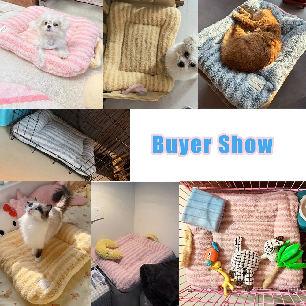 Cute Soft Pet Cat Bed Pad For Four Seasons Soft Plush Oval Comfortable Sleeping Washable For Small Medium Dogs/Cats Pet Products Cute Soft Pet Cat Bed Pad For Four Seasons Soft Plush Oval Comfortable Sleeping Washable For Small Medium Dogs/Cats Pet Products - Image 10