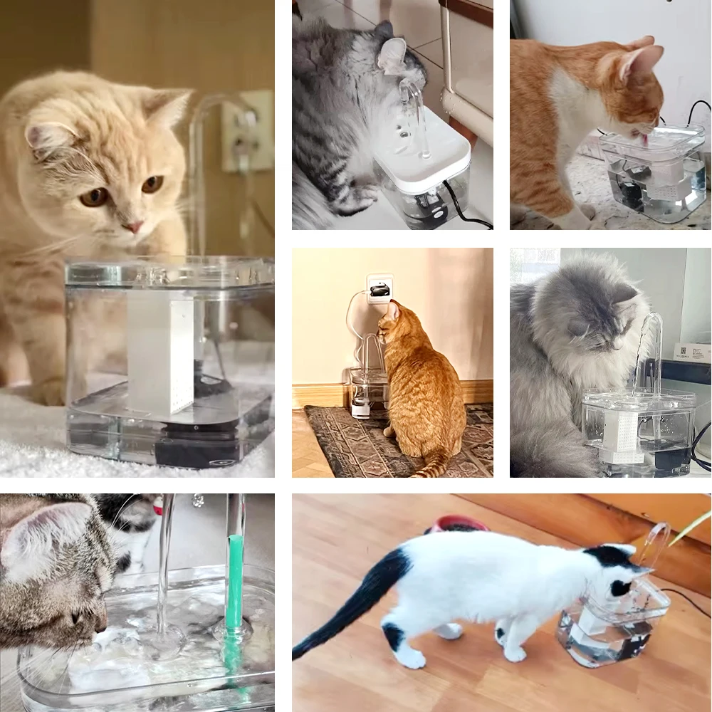 Katzen-Wasserbrunnen, Automatischer Filter, Transparenter Katzentrinker, Usb, Elektrisch, Stumm, Umlaufender Filtertrinker Für Katzen, Wasserspender Katzen-Wasserbrunnen, Automatischer Filter, Transparenter Katzentrinker, Usb, Elektrisch, Stumm, Umlaufender Filtertrinker Für Katzen, Wasserspender - Image 3