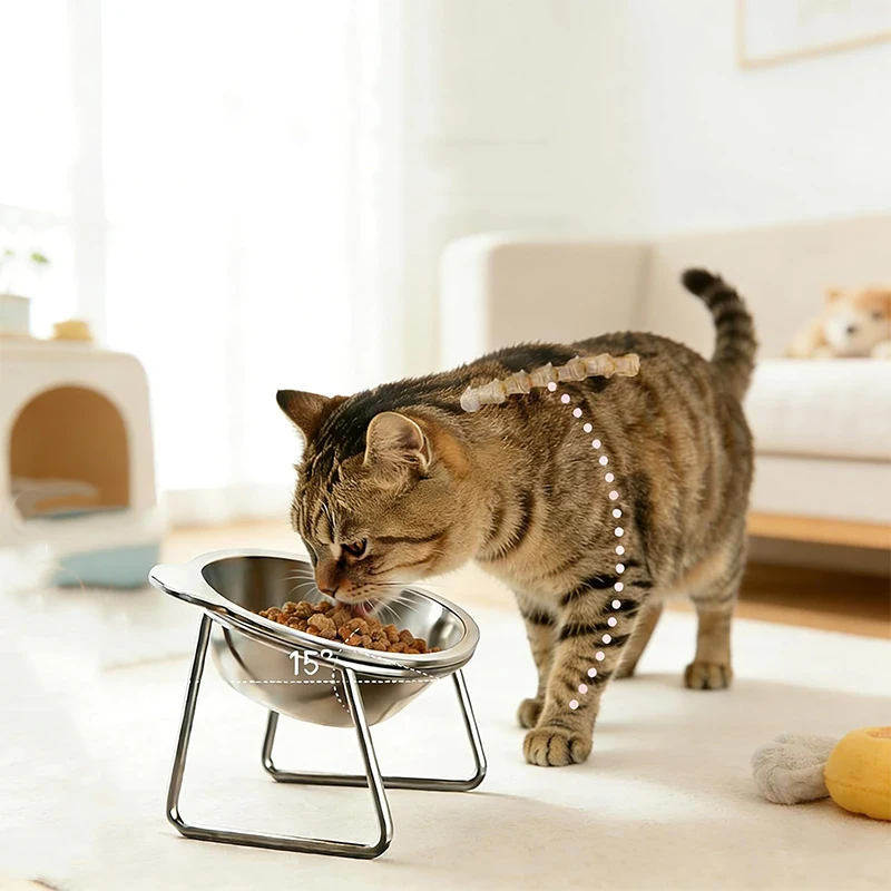 Elevated Cat Bowls Extra Raised Stainless Steel Cat Food Bowls With Anti-Slip Metal Stand Friendly Water Dishes For Indoor Pets Elevated Cat Bowls Extra Raised Stainless Steel Cat Food Bowls With Anti-Slip Metal Stand Friendly Water Dishes For Indoor Pets