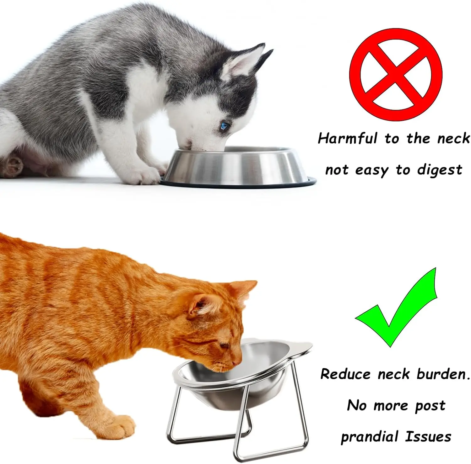 Elevated Cat Bowls Extra Raised Stainless Steel Cat Food Bowls With Anti-Slip Metal Stand Friendly Water Dishes For Indoor Pets Elevated Cat Bowls Extra Raised Stainless Steel Cat Food Bowls With Anti-Slip Metal Stand Friendly Water Dishes For Indoor Pets - Image 14