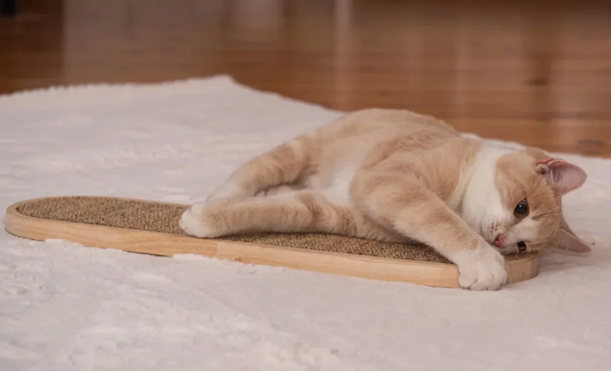 Sisal Matte Katzen Kratz Brett Hängende Wand Verschleiß Feste, Nicht Absplitter Feste Vertikale Schleif Klauen Pfosten Katzen Bedarf Sisal Matte Katzen Kratz Brett Hängende Wand Verschleiß Feste, Nicht Absplitter Feste Vertikale Schleif Klauen Pfosten Katzen Bedarf - Image 2