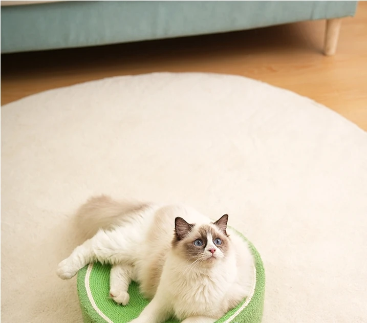 Cat Scratcher 2 In 1 Cat Anti Scratch Bed Cute Shape Cat Scratching Bed Round Cat Scratch Protection Paw Toy Gatos Accesorios Cat Scratcher 2 In 1 Cat Anti Scratch Bed Cute Shape Cat Scratching Bed Round Cat Scratch Protection Paw Toy Gatos Accesorios - Image 22