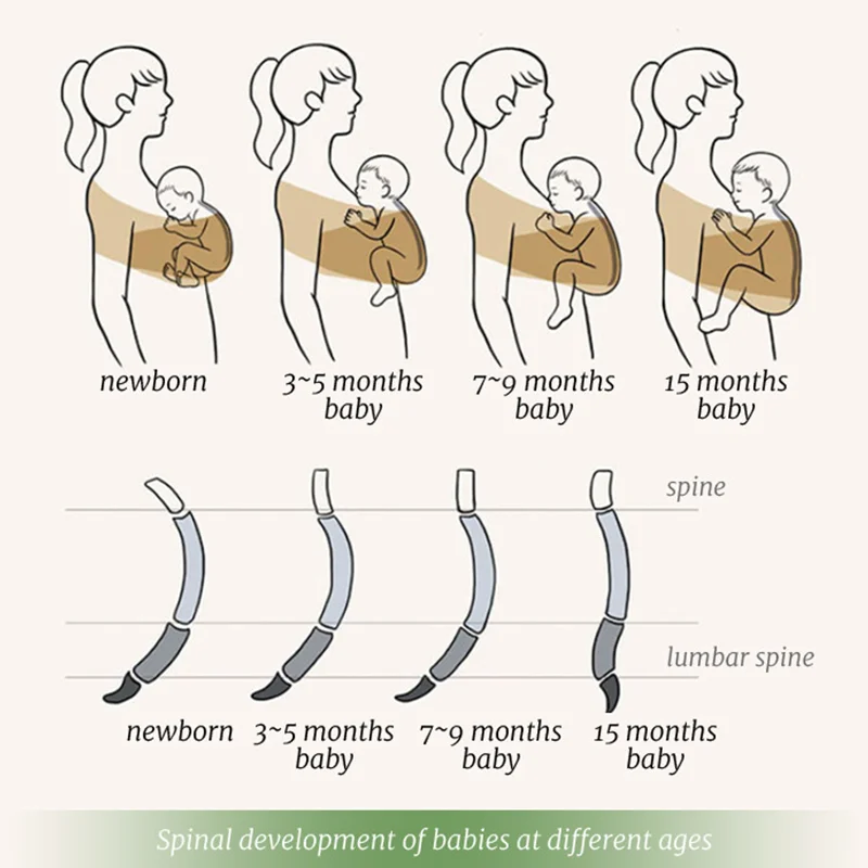 Pangdube Ergonomische Babytrage, Weiche Baumwolle, Känguru-Trage Für Neugeborene Bis 36 Monate, Bequeme Babytrage Vorne Pangdube Ergonomische Babytrage, Weiche Baumwolle, Känguru-Trage Für Neugeborene Bis 36 Monate, Bequeme Babytrage Vorne - Image 2