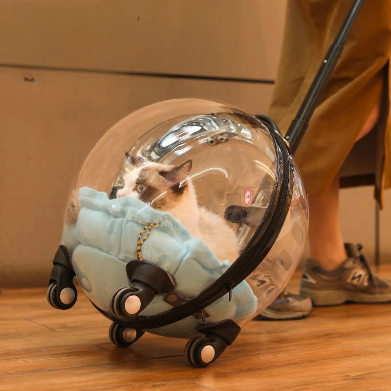 Tragbare Katzentasche Zum Ausgehen, Große Kapazität, Transparent, Atmungsaktiv, Haustier-Trolley, Katzen-Reisetasche, Heimtierbedarf, Katzennest Tragbare Katzentasche Zum Ausgehen, Große Kapazität, Transparent, Atmungsaktiv, Haustier-Trolley, Katzen-Reisetasche, Heimtierbedarf, Katzennest