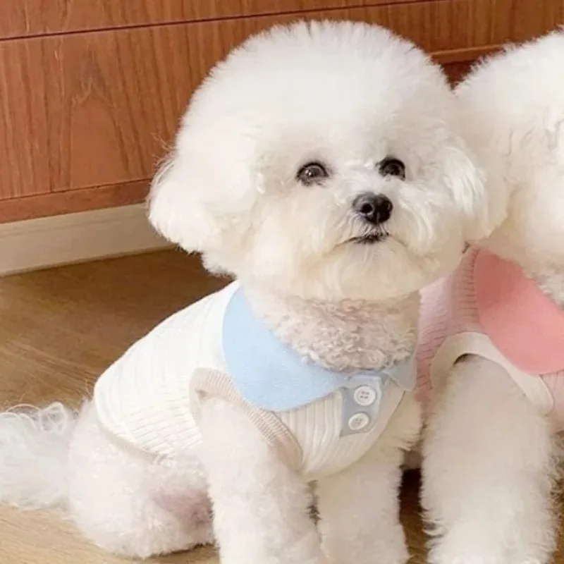 Summer Clothes For Dogs Puppy Shirt Blouse Spring Pets Clothing Dog Doggy Pet Shirts Apparel Supplies Summer Clothes For Dogs Puppy Shirt Blouse Spring Pets Clothing Dog Doggy Pet Shirts Apparel Supplies - Image 7