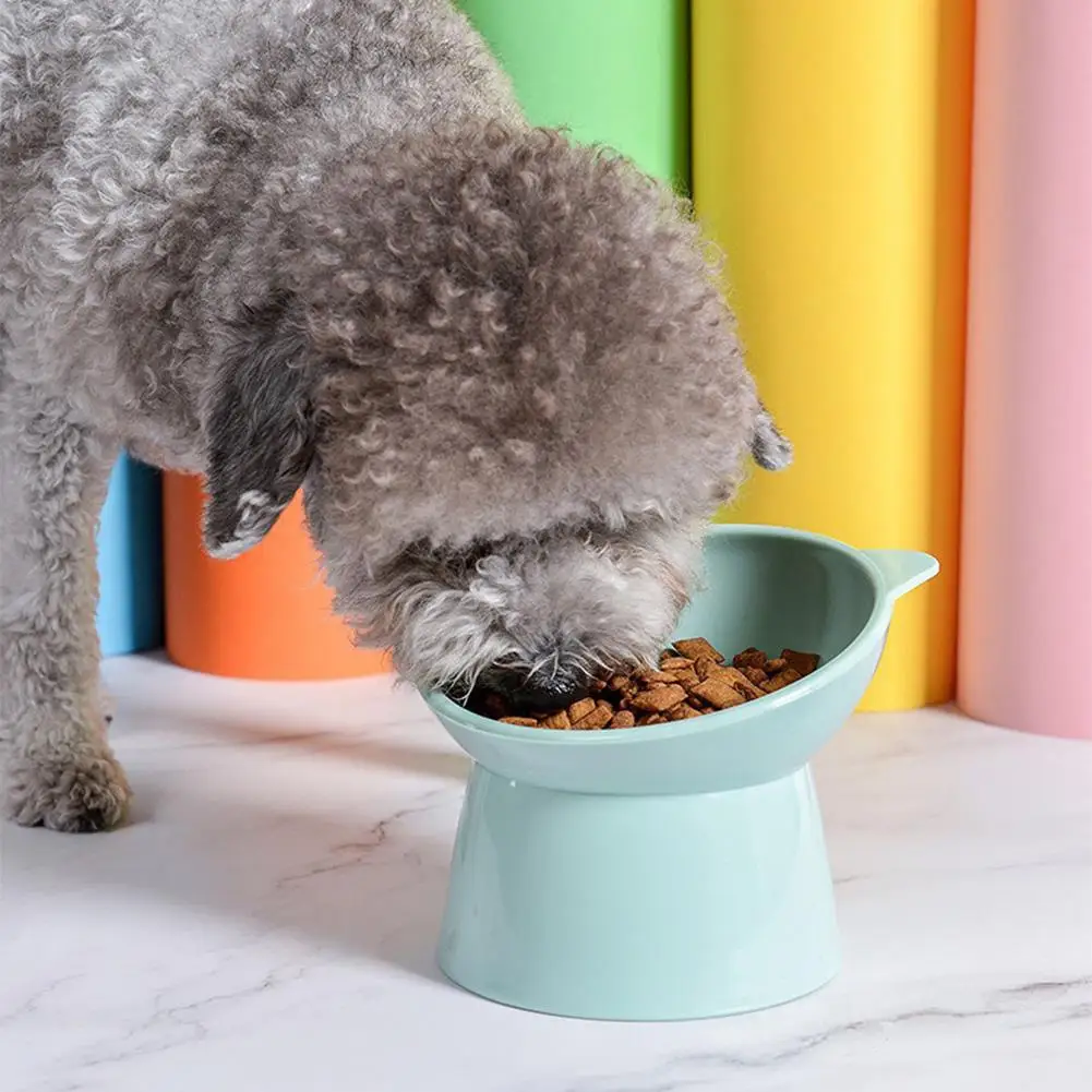 Tilted Cat Food Bowl Anti Vomiting Orthopedic Elevated Cat Dish Whisker Friendly Ceramic Pet Feeder For Small Pets Tilted Cat Food Bowl Anti Vomiting Orthopedic Elevated Cat Dish Whisker Friendly Ceramic Pet Feeder For Small Pets - Image 19