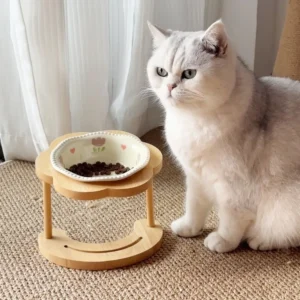 Anti Slip Ceramic Cat Bowl Neck Protection Flower Cat Feeding Station Stable 15 Degree Inclined Dog Food Bowl Wet Dry Food