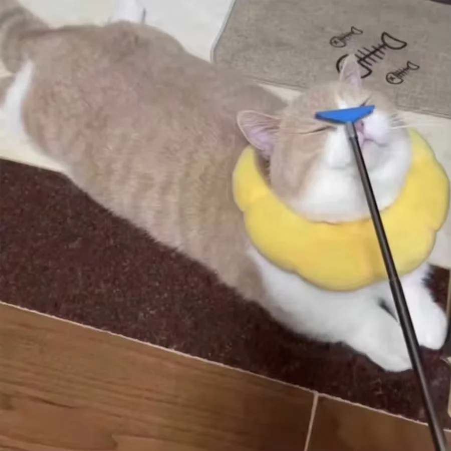 Katzen-Teasing-Stick-Spielzeug: Interaktives Massage- Und Kratzspielzeug Zur Linderung Von Langeweile Und Juckreiz – Ausziehbarer Kamm Und Bürste Für Katzenpflege Katzen-Teasing-Stick-Spielzeug: Interaktives Massage- Und Kratzspielzeug Zur Linderung Von Langeweile Und Juckreiz – Ausziehbarer Kamm Und Bürste Für Katzenpflege - Image 4