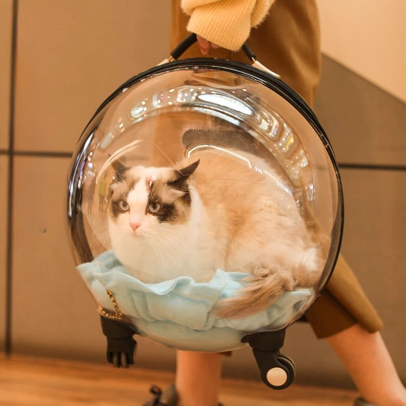 Tragbare Katzentasche Zum Ausgehen, Große Kapazität, Transparent, Atmungsaktiv, Haustier-Trolley, Katzen-Reisetasche, Heimtierbedarf, Katzennest Tragbare Katzentasche Zum Ausgehen, Große Kapazität, Transparent, Atmungsaktiv, Haustier-Trolley, Katzen-Reisetasche, Heimtierbedarf, Katzennest - Image 2