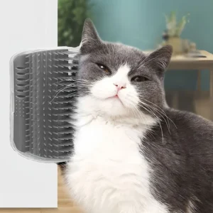 Katzen Massagebürste