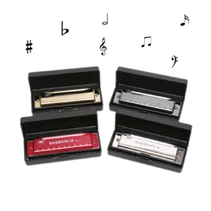 Mundharmonika, 10 Löcher, diatonischer Tonarton, C, Blues-Harfe, Mundharmonika, Musikinstrument für Anfänger, Kinder und Erwachsene, mit Aufbewahrungskoffer