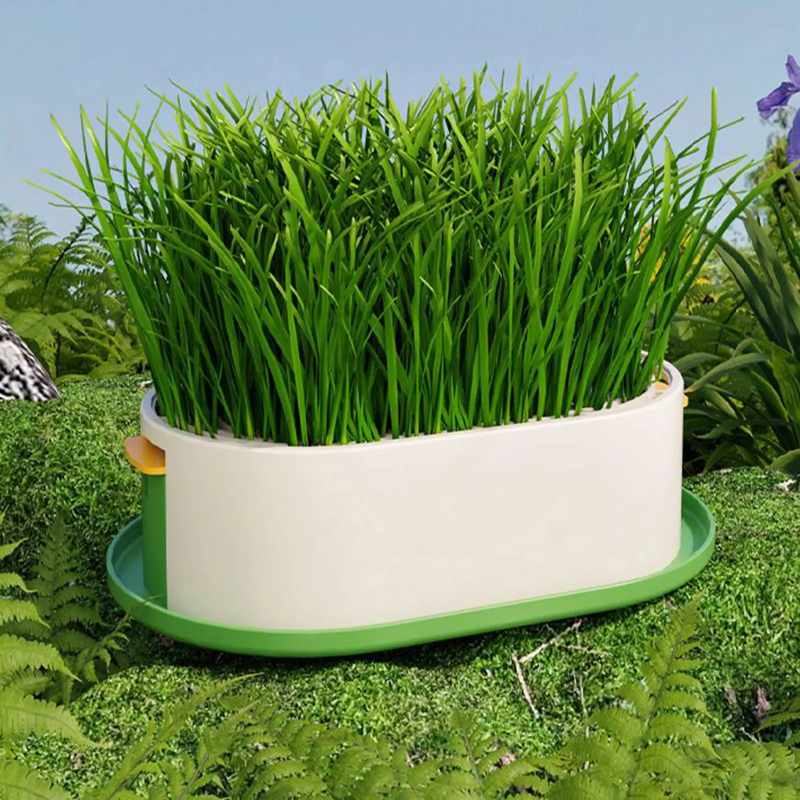 Cat Snack Grass Box Cat Catnip Grass Grow Station Soilless Planting Cat Grass Pot For Kitten Snack Pet Eating Cat Snack Grass Box Cat Catnip Grass Grow Station Soilless Planting Cat Grass Pot For Kitten Snack Pet Eating - Image 10