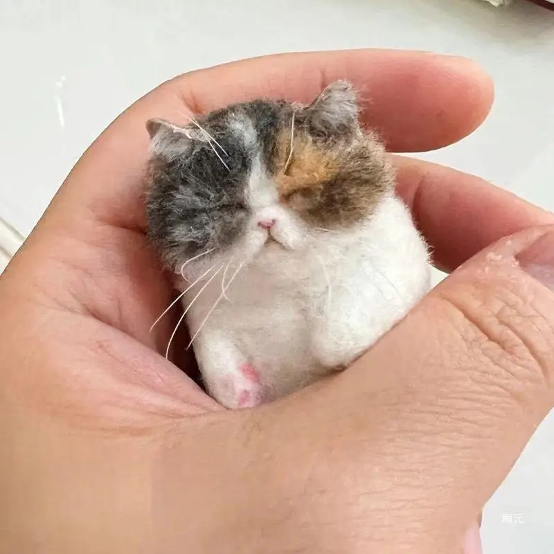 Schafe Filz Poke Katze Handgemachte Material Tasche Für Anfänger Diy Wolle Nadel Filzen Simulation Kreative Tier Geschenke Schafe Filz Poke Katze Handgemachte Material Tasche Für Anfänger Diy Wolle Nadel Filzen Simulation Kreative Tier Geschenke - Image 4