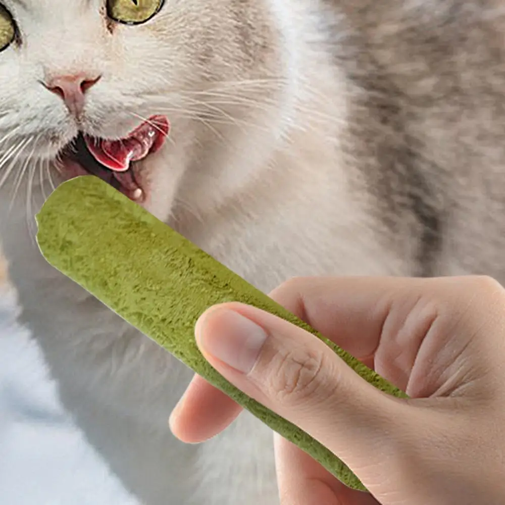 Cat Grass Sticks Grass Chewing Stick Freeze Dried Snacks Mouth Health Teething Digestive Aid Natural Teeth Cleaner Fattening Pet Cat Grass Sticks Grass Chewing Stick Freeze Dried Snacks Mouth Health Teething Digestive Aid Natural Teeth Cleaner Fattening Pet - Image 9