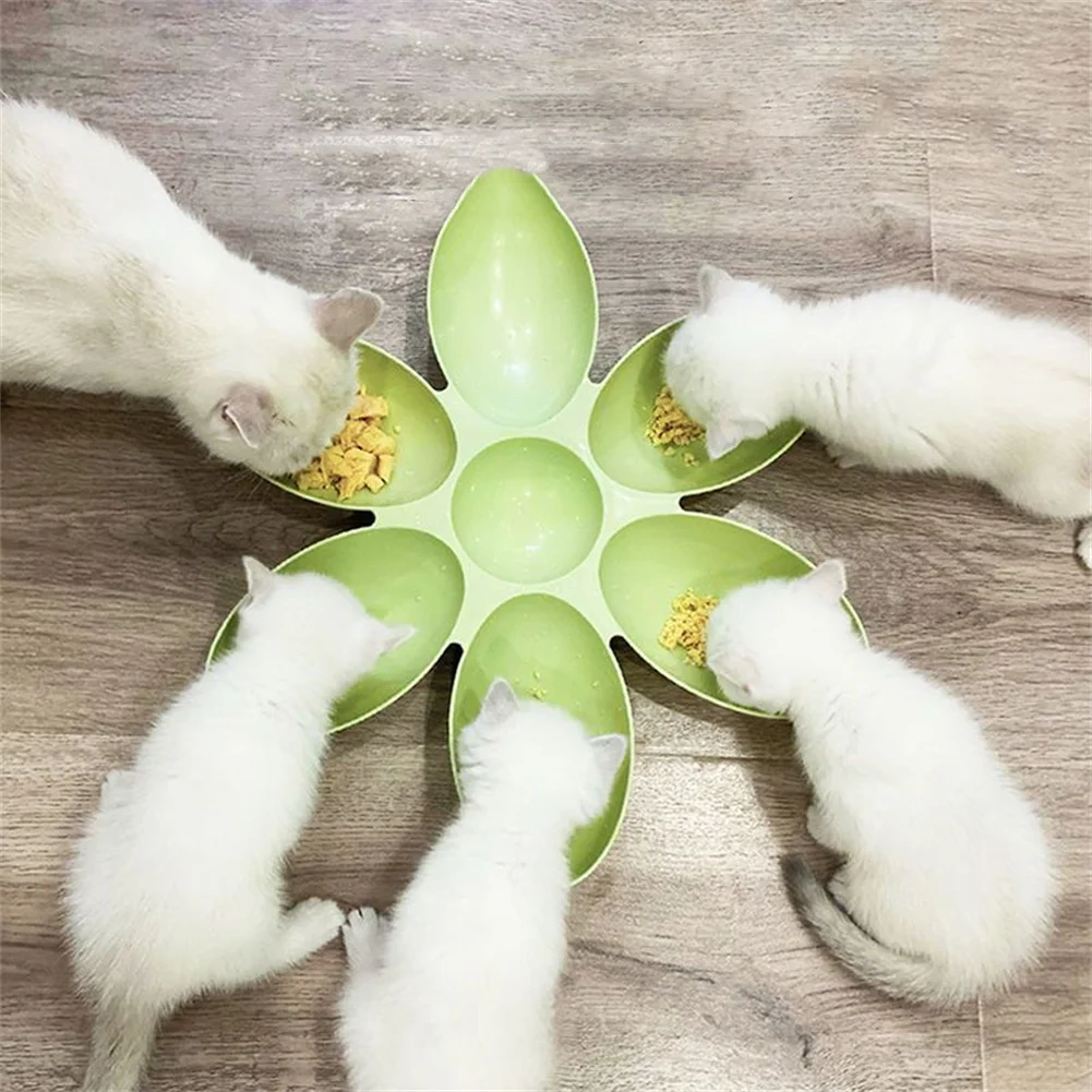 Cat Bowl Multi Cat Petal Food Bowl Baby Cat Milk Cat Special Bowl Multi Functional Cat And Dog Food Bowl Upgrade Pet Lunch Time Cat Bowl Multi Cat Petal Food Bowl Baby Cat Milk Cat Special Bowl Multi Functional Cat And Dog Food Bowl Upgrade Pet Lunch Time