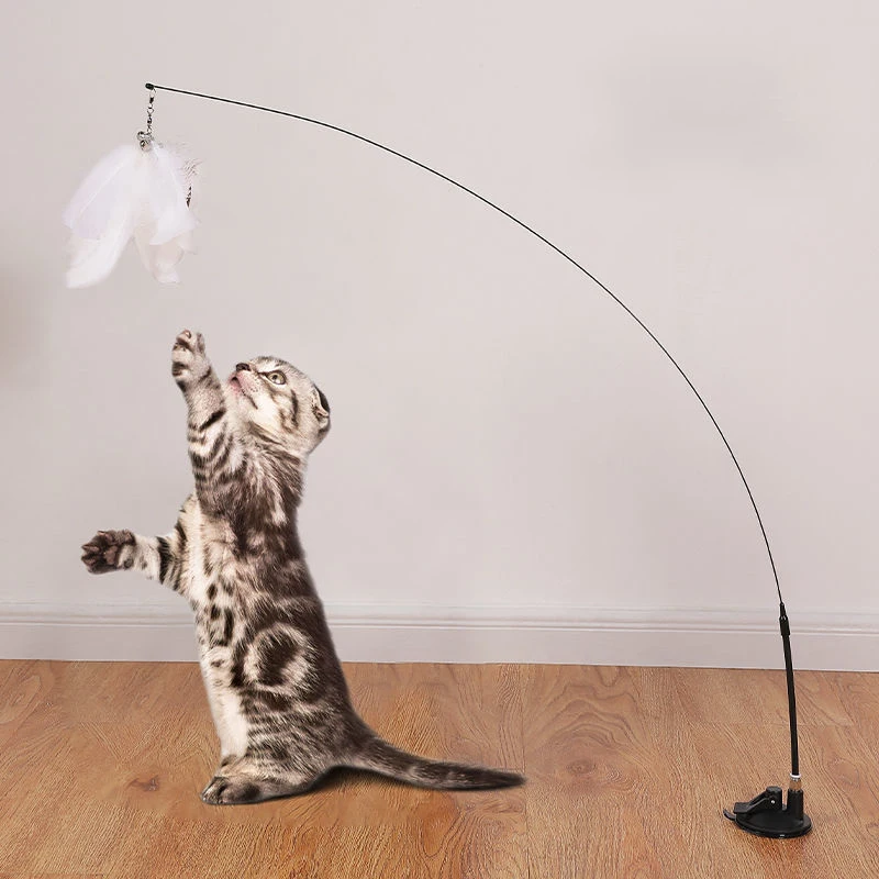 Interactive Cat Toy Handfree Cat Stick Playing Kitten Playing Teaser Wand Toy Suction Cup Bird/Feather Cat Wand Pet Supplies Interactive Cat Toy Handfree Cat Stick Playing Kitten Playing Teaser Wand Toy Suction Cup Bird/Feather Cat Wand Pet Supplies