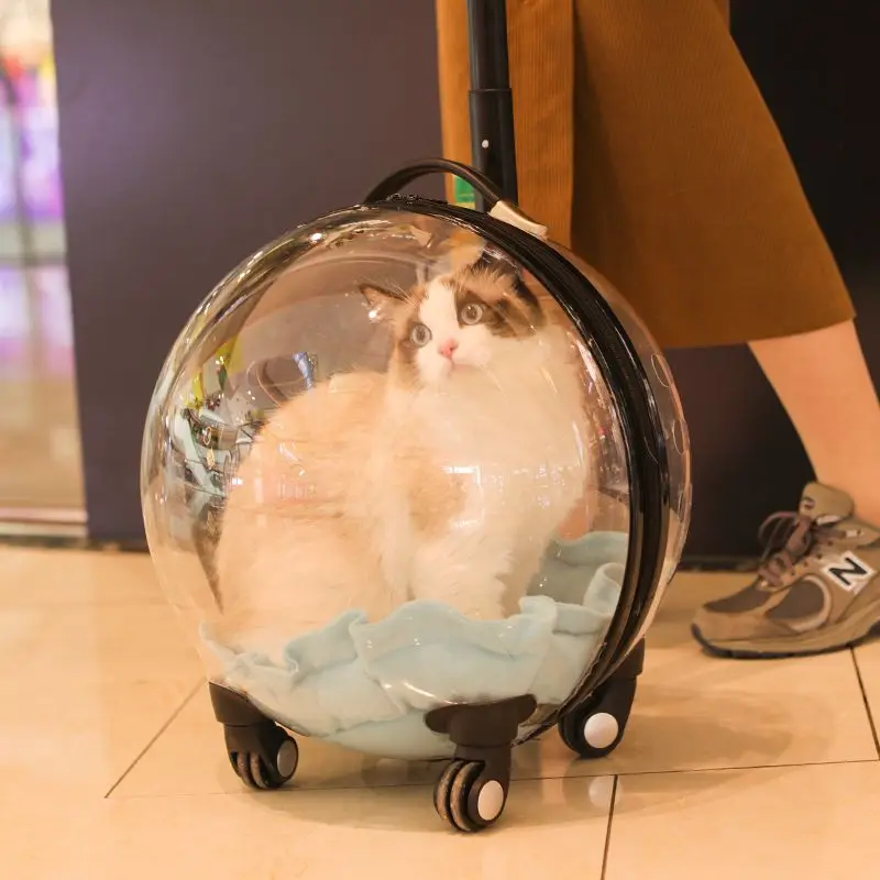 Tragbare Katzentasche Zum Ausgehen, Große Kapazität, Transparent, Atmungsaktiv, Haustier-Trolley, Katzen-Reisetasche, Heimtierbedarf, Katzennest Tragbare Katzentasche Zum Ausgehen, Große Kapazität, Transparent, Atmungsaktiv, Haustier-Trolley, Katzen-Reisetasche, Heimtierbedarf, Katzennest - Image 3