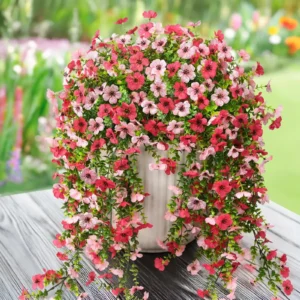 Künstliche Blumen Rattan-Morgenblumenranken für Hochzeitskränze im Freien, Brautbogen, Heimdekoration, Garten und Festliche Anlässe
