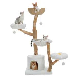 Cat Accessories