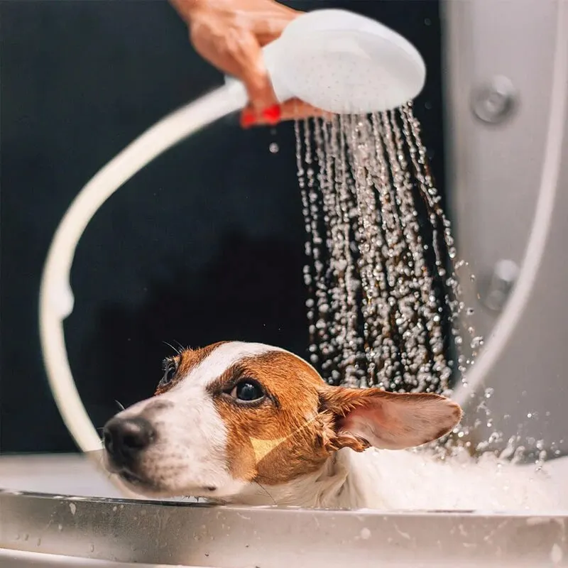 Pet Baden Dusche Hund Katze Multifunktionale Dusche Einfaches Baden Garten Sprayer Pet Reinigung Pflege Werkzeuge Liefert Pet Baden Dusche Hund Katze Multifunktionale Dusche Einfaches Baden Garten Sprayer Pet Reinigung Pflege Werkzeuge Liefert - Image 2