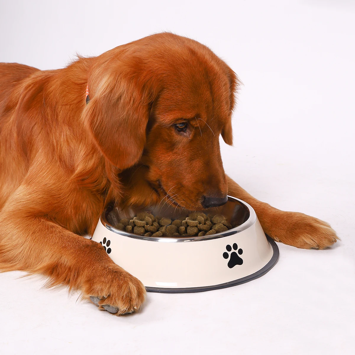 1Pc Edelstahl Pet Bowl Katze Schüssel Hundefutter Schüssel Multi-Spezifikation Anti-Herbst Futternapf Futternapf Fütterung Haustier Liefert 1Pc Edelstahl Pet Bowl Katze Schüssel Hundefutter Schüssel Multi-Spezifikation Anti-Herbst Futternapf Futternapf Fütterung Haustier Liefert - Image 6