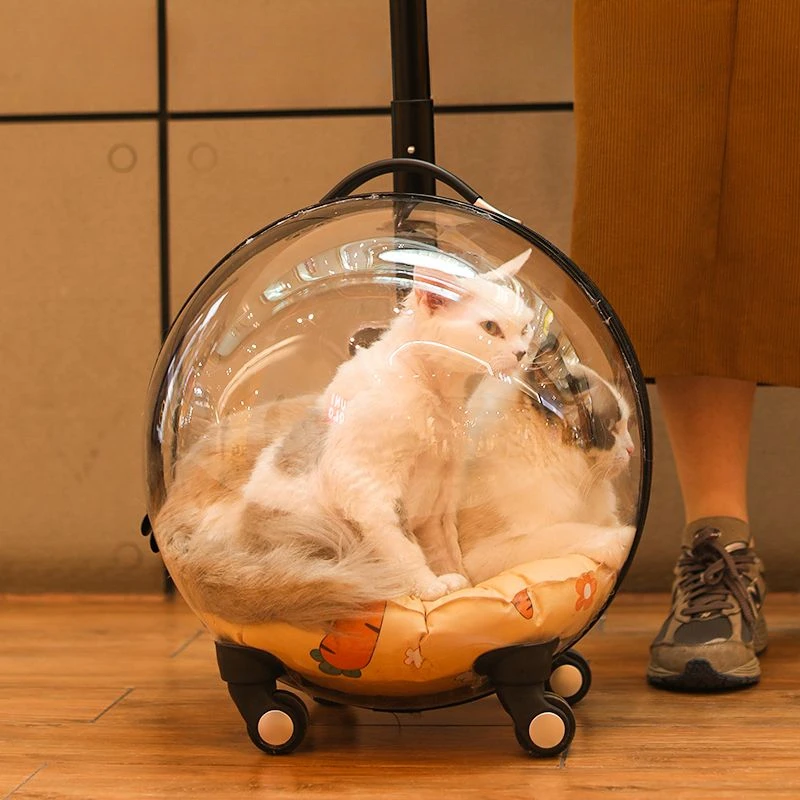 Tragbare Katzentasche Zum Ausgehen, Große Kapazität, Transparent, Atmungsaktiv, Haustier-Trolley, Katzen-Reisetasche, Heimtierbedarf, Katzennest Tragbare Katzentasche Zum Ausgehen, Große Kapazität, Transparent, Atmungsaktiv, Haustier-Trolley, Katzen-Reisetasche, Heimtierbedarf, Katzennest - Image 5