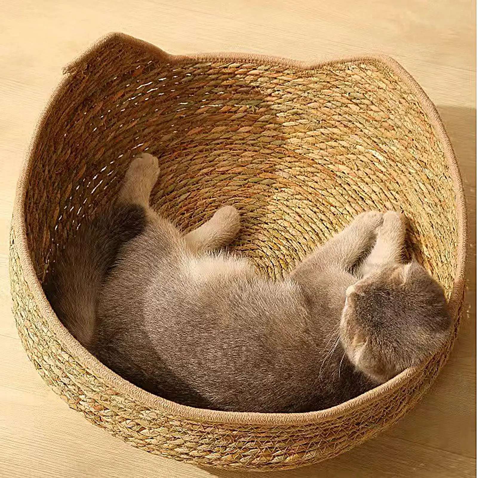Cat Basket Cotton Rope Round Bed For Cat Sleep With Pillow All Season Indoor Weaving Pet Resting Scratching Sleeping Furniture Cat Basket Cotton Rope Round Bed For Cat Sleep With Pillow All Season Indoor Weaving Pet Resting Scratching Sleeping Furniture - Image 3