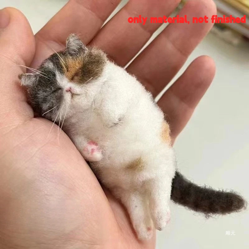 Schafe Filz Poke Katze Handgemachte Material Tasche Für Anfänger Diy Wolle Nadel Filzen Simulation Kreative Tier Geschenke Schafe Filz Poke Katze Handgemachte Material Tasche Für Anfänger Diy Wolle Nadel Filzen Simulation Kreative Tier Geschenke - Image 13