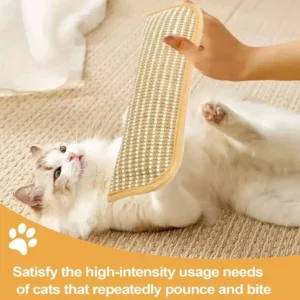Cat Scratcher Mat Pillow Multi-Functional Cat Chew Toy Wear-Resistant Cat Scratching Toy for Kittens  Adult Cats