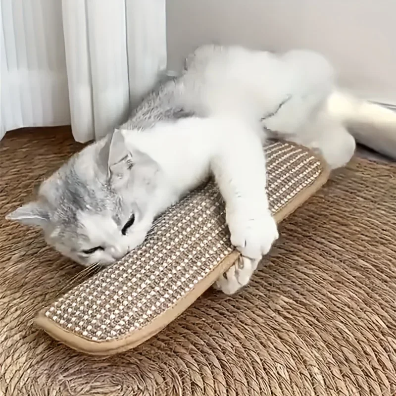 Cat Scratcher Mat Pillow Multi-Functional Cat Chew Toy Wear-Resistant Cat Scratching Toy For Kittens Adult Cats Cat Scratcher Mat Pillow Multi-Functional Cat Chew Toy Wear-Resistant Cat Scratching Toy For Kittens Adult Cats - Image 5