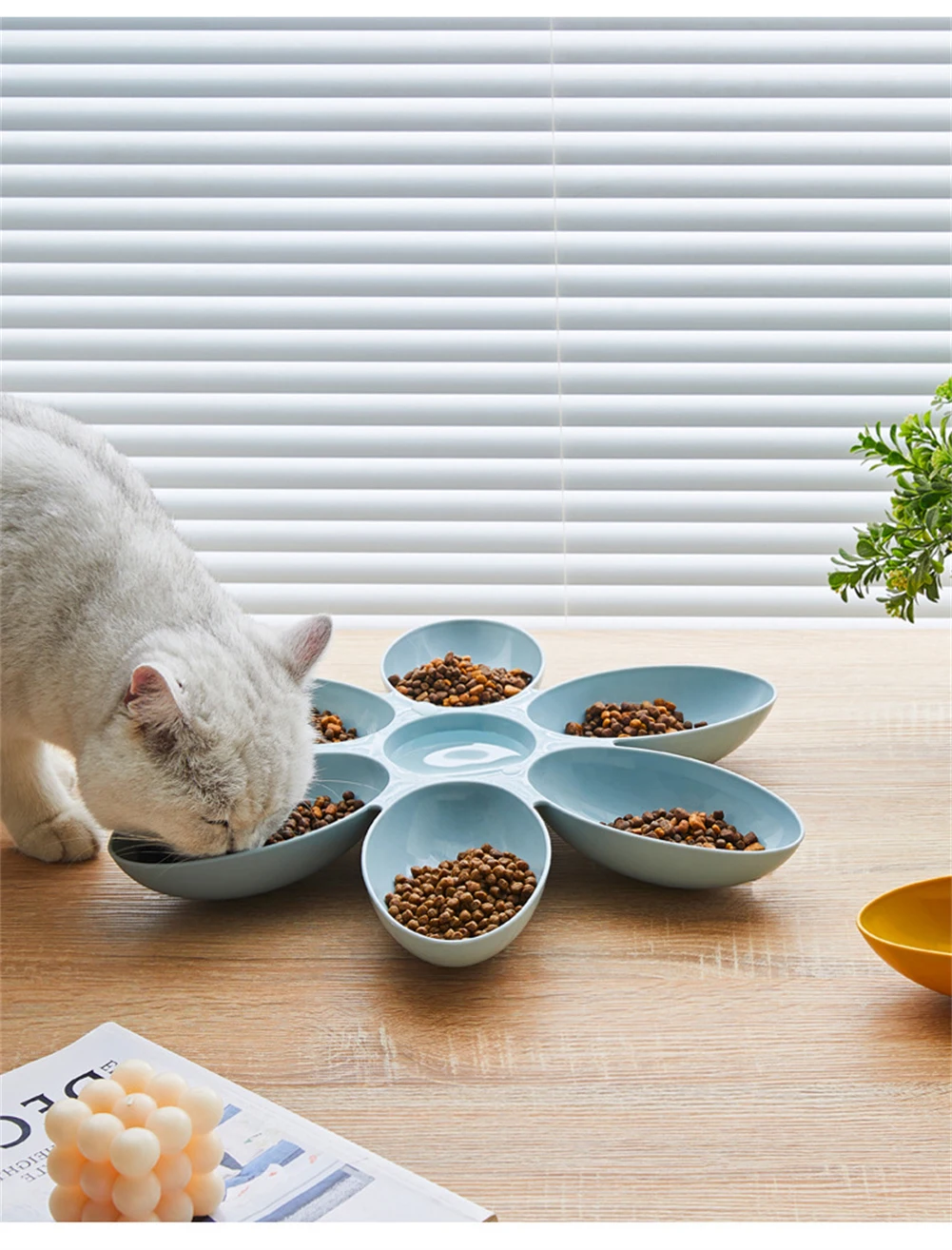 Cat Bowl Multi Cat Petal Food Bowl Baby Cat Milk Cat Special Bowl Multi Functional Cat And Dog Food Bowl Upgrade Pet Lunch Time Cat Bowl Multi Cat Petal Food Bowl Baby Cat Milk Cat Special Bowl Multi Functional Cat And Dog Food Bowl Upgrade Pet Lunch Time - Image 12