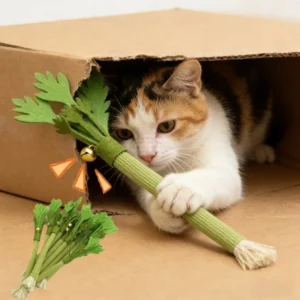 Katzenminze Kauspielzeug