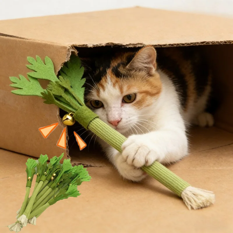 Katzenminze Kauspielzeug Für Zahnpflege Und Interaktives Spielen Katzenminze Kauspielzeug