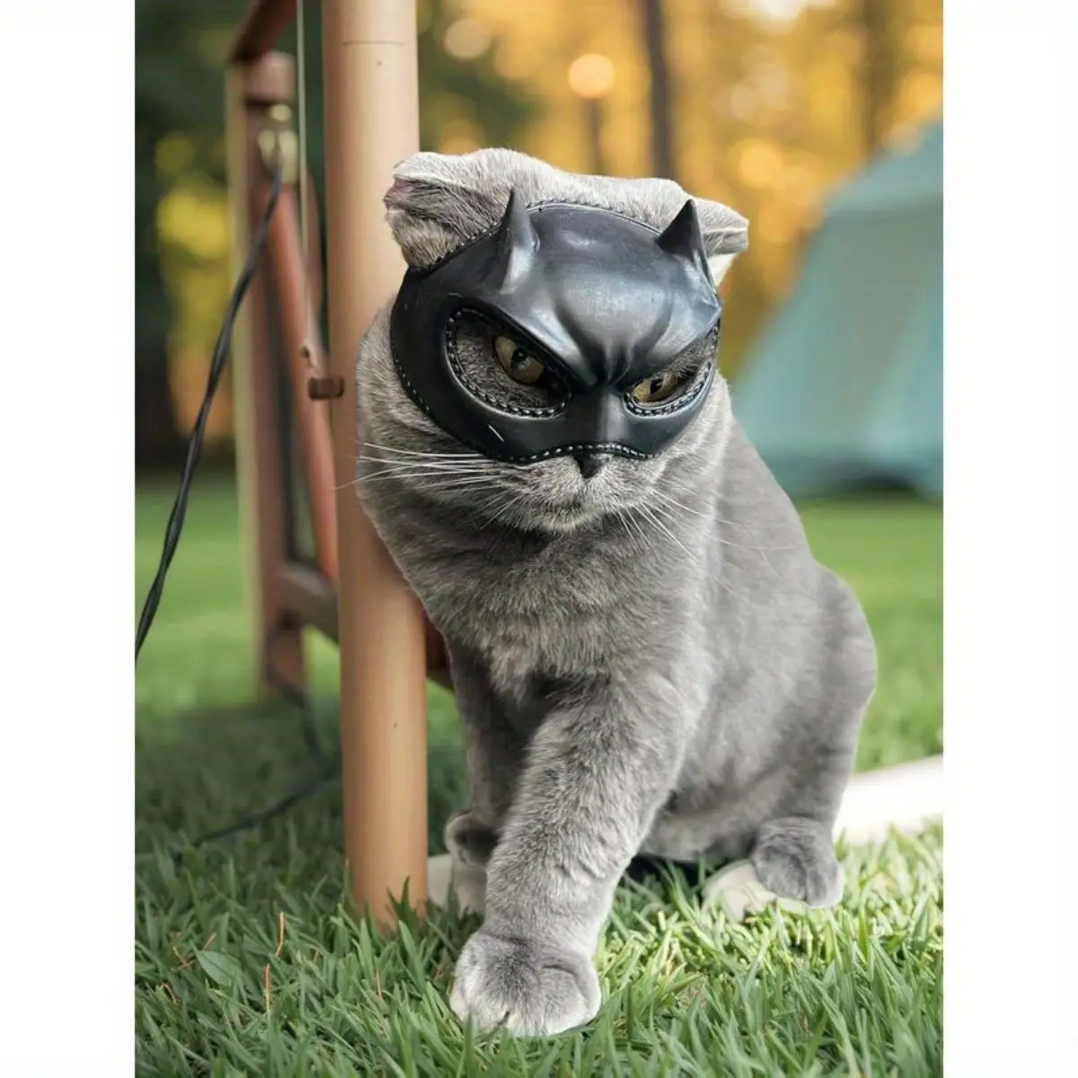 Katzen-Fledermaus-Maske, Katzenkopf-Dekoration, Formschönes Haustier-Kostümzubehör, Verspielte Und Entzückende Katzenmaske Katzen-Fledermaus-Maske, Katzenkopf-Dekoration, Formschönes Haustier-Kostümzubehör, Verspielte Und Entzückende Katzenmaske - Image 2